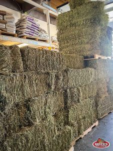 Bruce's Pet and Farm Supply storage area stacked with hay bales, ready for livestock feeding. Large quantities of hay are neatly organized on pallets, providing essential forage for farm animals. The storage space also includes various bags of feed and soil amendments on upper shelves, serving the agricultural needs of the Maple Ridge community with high-quality animal feed and farming supplies.